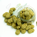 SALTA GRODOR