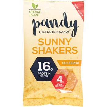 Pandy Protein Sunny Shakers 