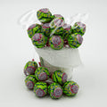 GUMPOP VATTENMELONKLUBBA